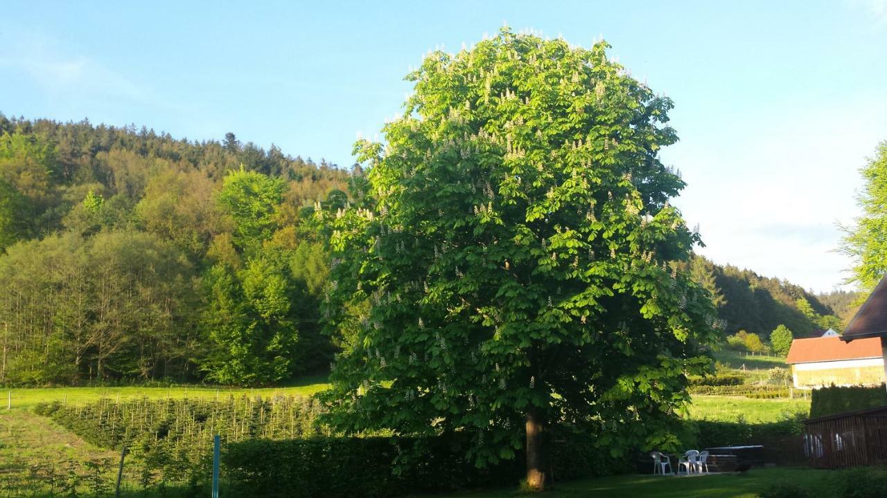 Appartamento Haus Annemarie Goldkronach Esterno foto