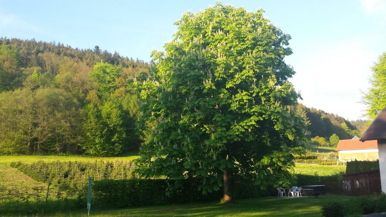 Appartamento Haus Annemarie Goldkronach Esterno foto